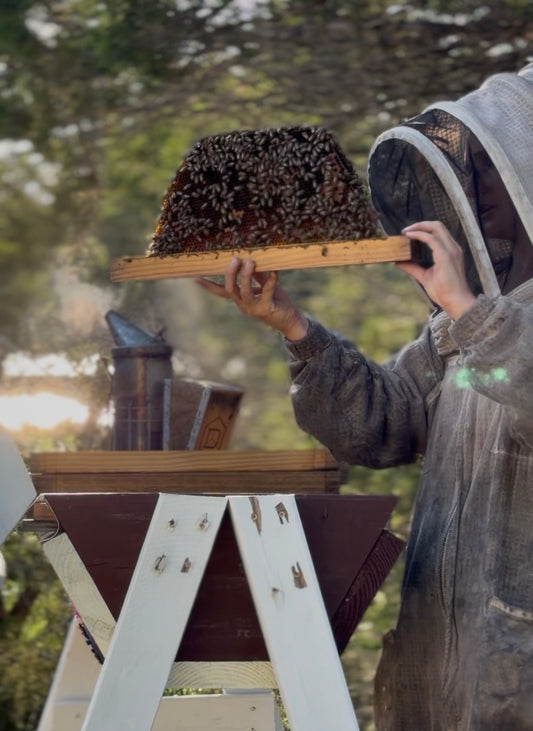 Apiary Tour with Sister Creek Hives — Saturday, June 20