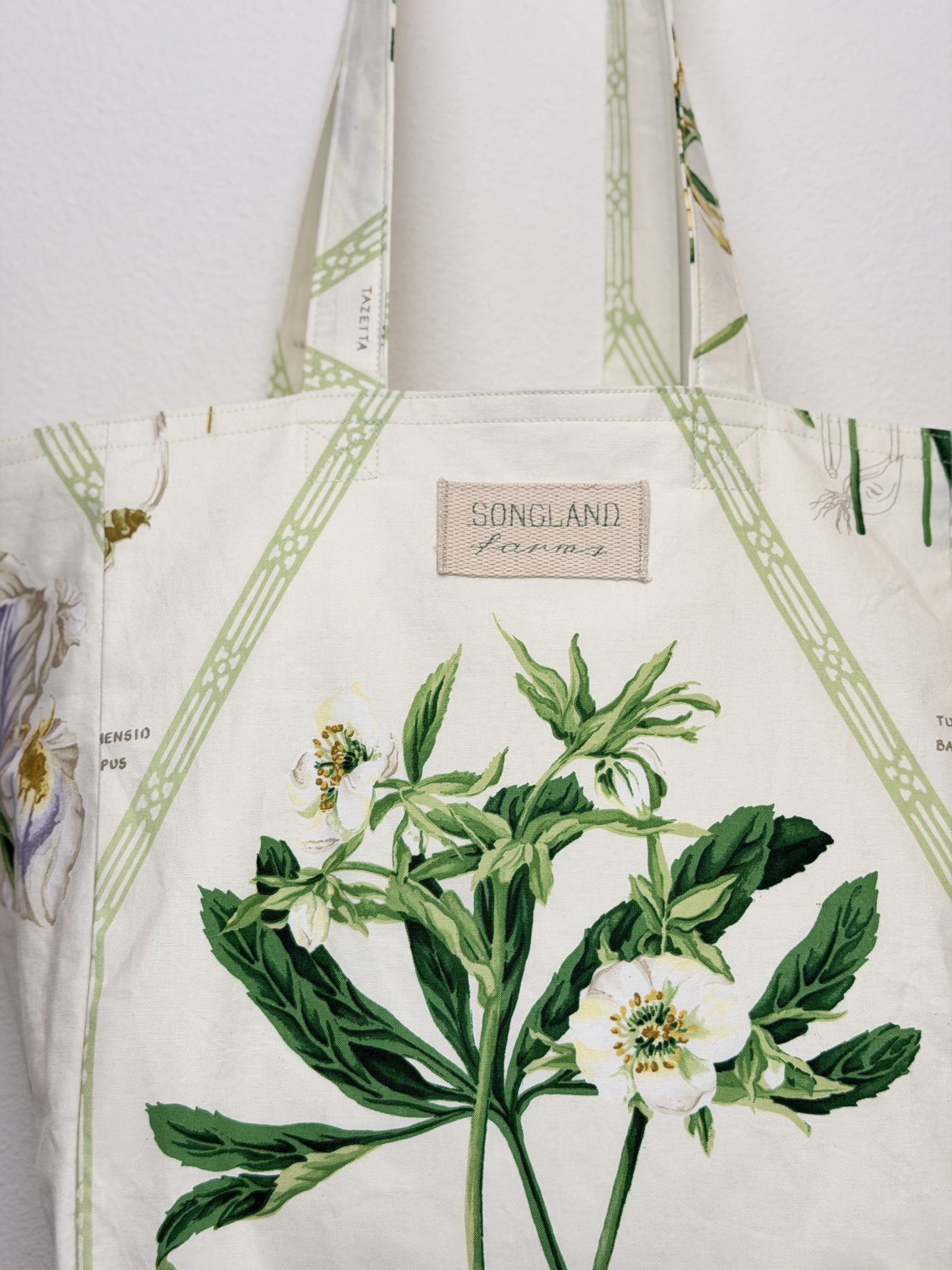 Ivydene Botanical (Schumacher Hand Print)